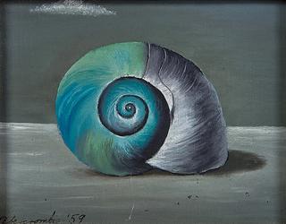 Shell
