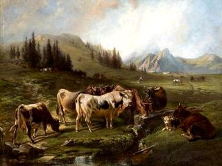 Cows on Pasture