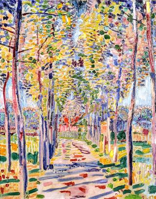 Forest lane