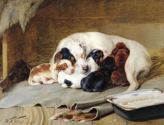 Family Nap