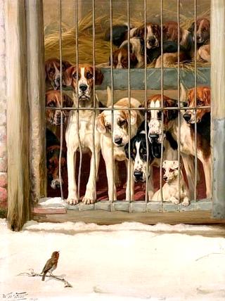 Hounds in a Kennel
