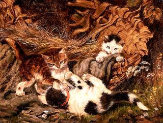 Cats Playing with Basket