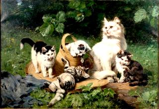 Cats at Play