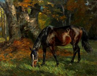 A Grazing Horse