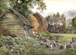 Sheep in a Barnyard