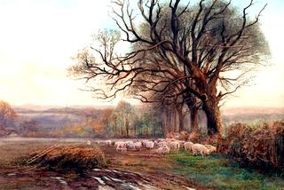 Sheep Grazing in a Country Landscape