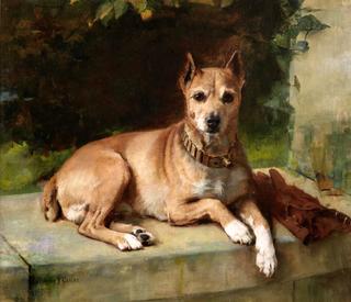 A Faithful Companion