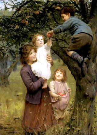 Picking Apples
