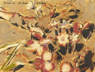 Bush Flowers