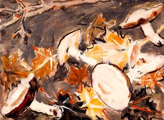 Mushrooms and Leaves