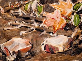 Stones and Maple Leaves