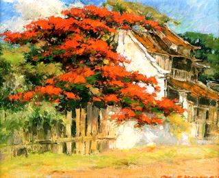 Flamboyant Tree