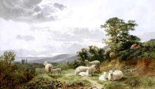 Watching the Herd