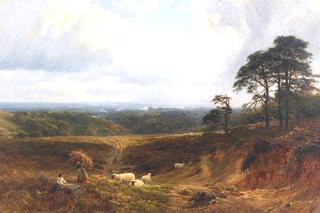 A Surrey Landscape