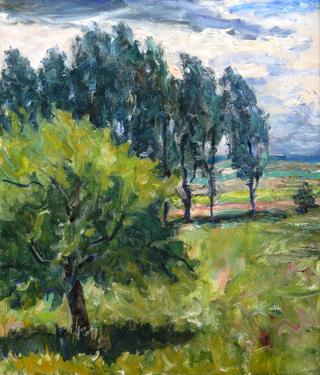 Landscape