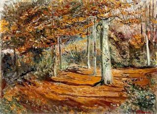 The Woods in Autumn