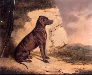 A Pointer and a Gun