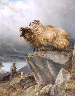 Sheep on a Crag with Ghillie and Dogs Below