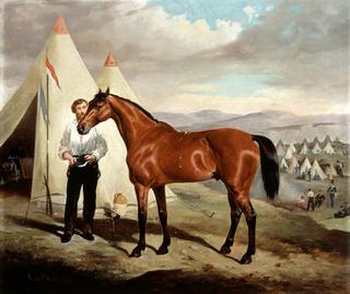 Sir Briggs, Horse of Lord Tredegar, 17th Lancers, (ridden at Balaclava, 1854, in camp in the Crimea)