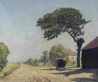 Village Street in July