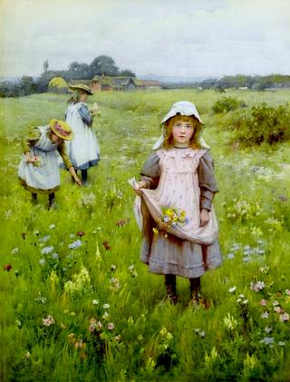 Gathering Wildflowers