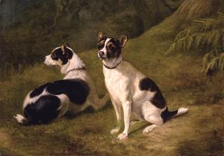 Two Terriers in a Landscape