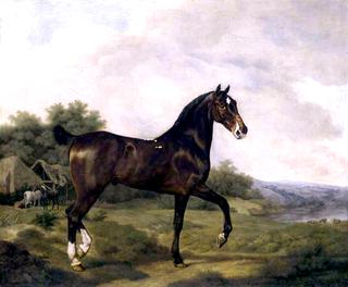 A Dark Bay Hunter in an Extensive Landscape, Horses and Cattle beyond