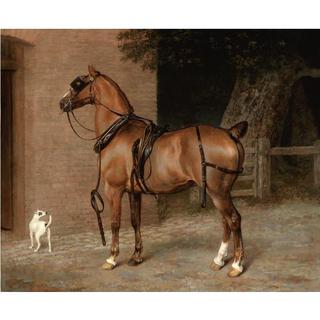 A Liver Chestnut Carriage Horse