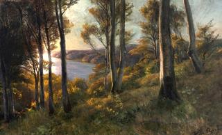Danish Landscape