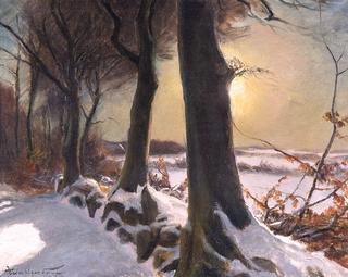 Winter Landscape