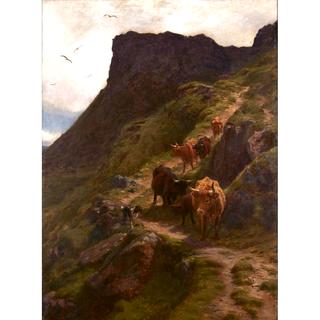 Coming down from the Hills
