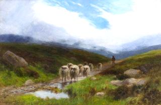 Driving the Flock