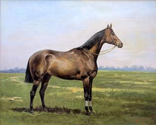 Bay Horse