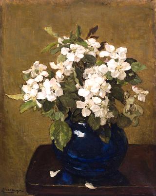 Apple Blossom