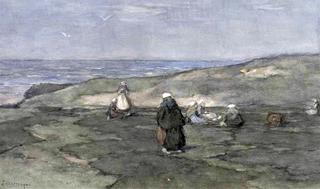 Mending the Nets in the Dunes