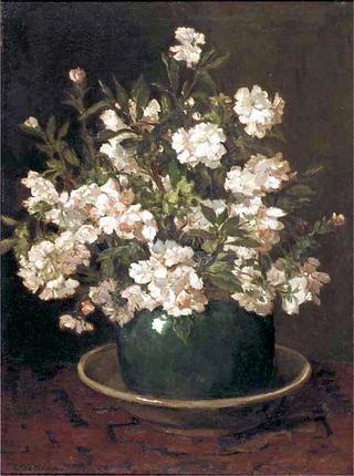 Azalea in an Earthenware Pot