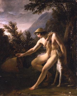 Narcissus