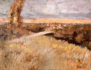 Paisaje de Campo