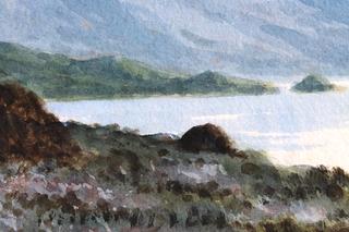 Connemara Landscape