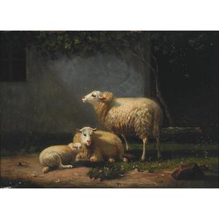 Sheep in a Farmyard