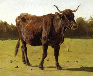 A Cow Grazing in a Meadow