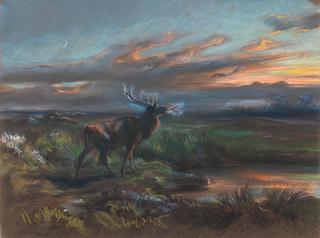 The Call of the Stag