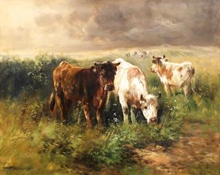 Cows in a Pasture