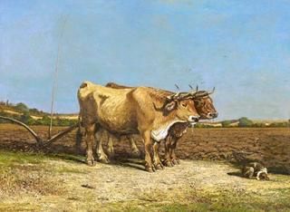 Yoke of Oxen