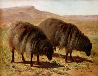Ovejas, Two Sheep