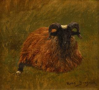 Ram
