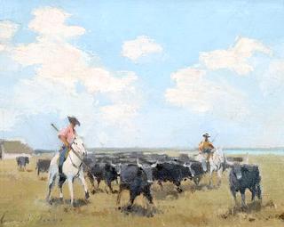 Bulls of the Camargue, France