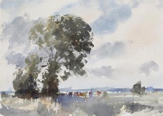 Marshland and Cattle