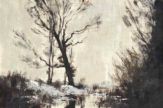 Near Turf Fen, Winter