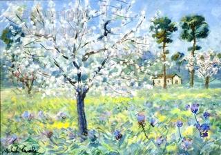 Field of Flowers